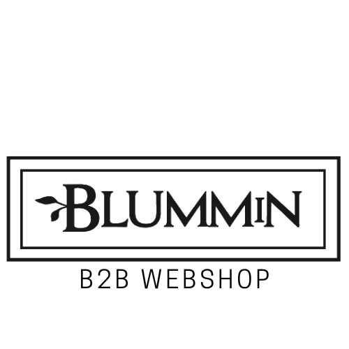 BLUMMiN B2B